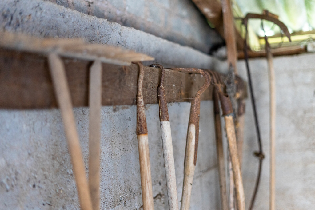 Rusty garden tools in a shed