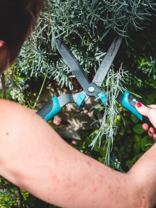 holding sharp garden shears