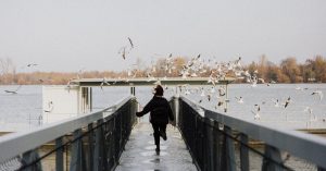 67c8bc27 530e 4b5e a6f7 379b839fe90a