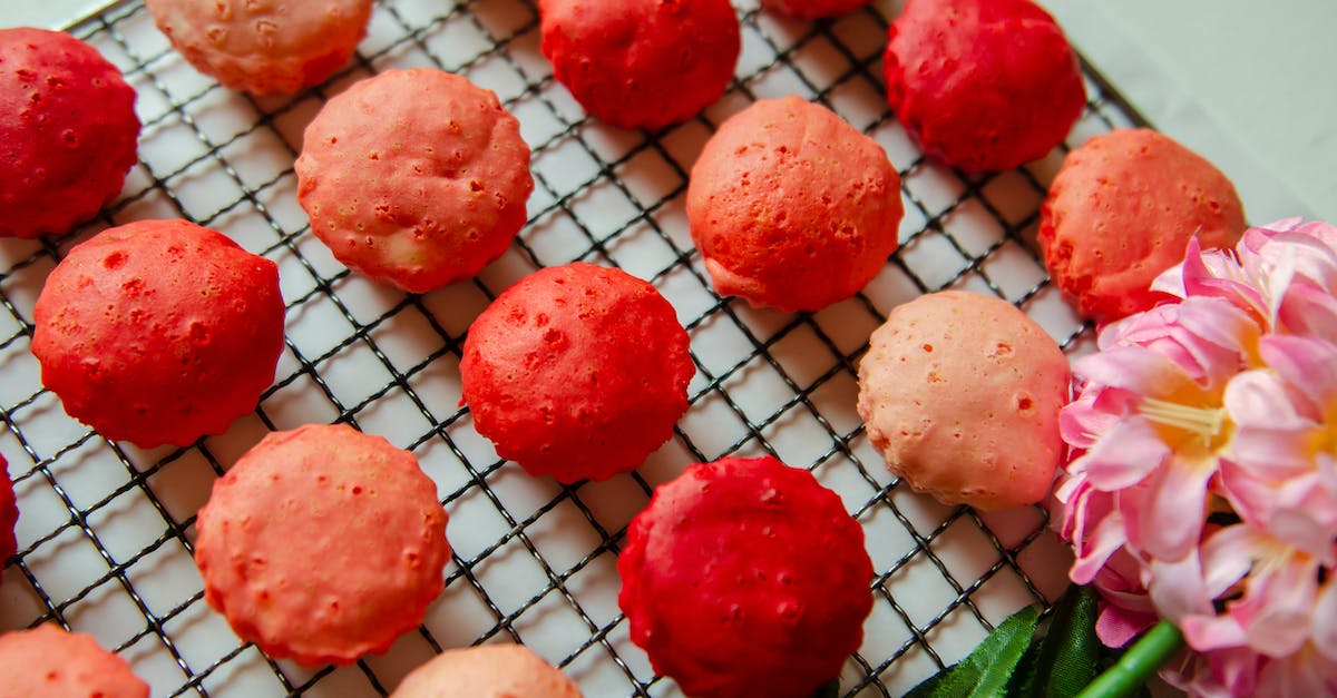 Can Birds Eat Rice Cakes? Risks & Safer Alternatives